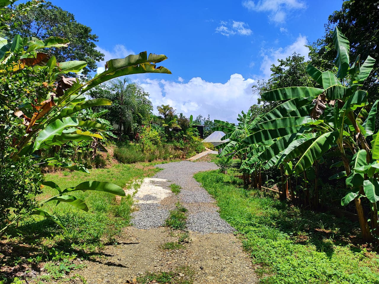 WhatsApp Image 2025-09-10 at 3.15.58 PM (1)