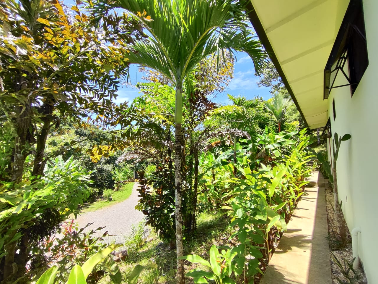 WhatsApp Image 2025-09-10 at 3.15.58 PM (2)