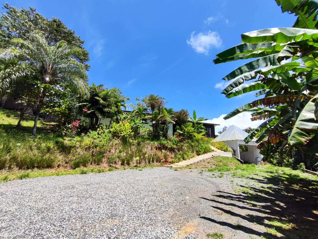 WhatsApp Image 2025-09-10 at 3.15.58 PM (3)