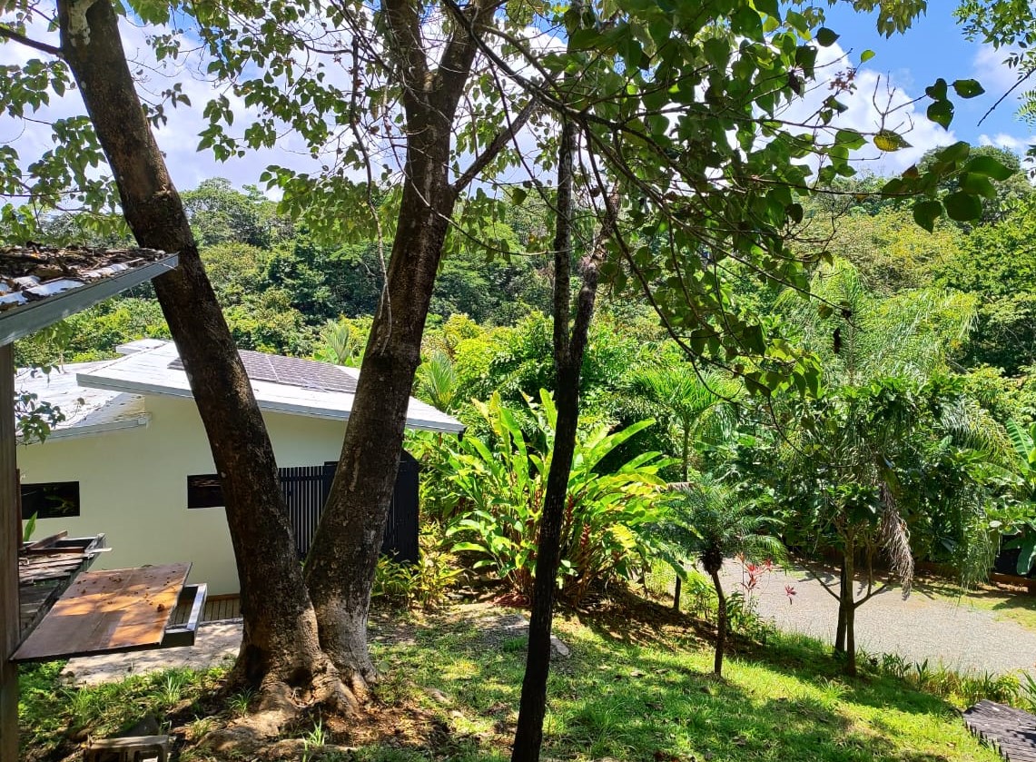 WhatsApp Image 2025-09-10 at 3.16.01 PM (3)