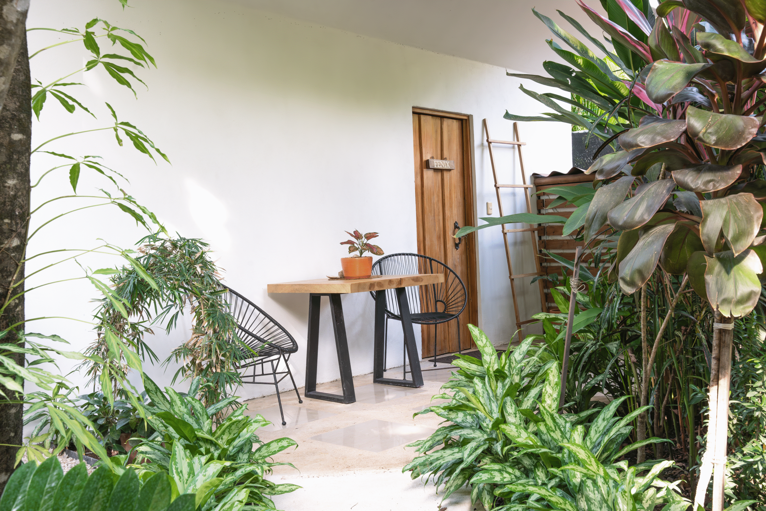 DSC02502-Verbessert-NR baja